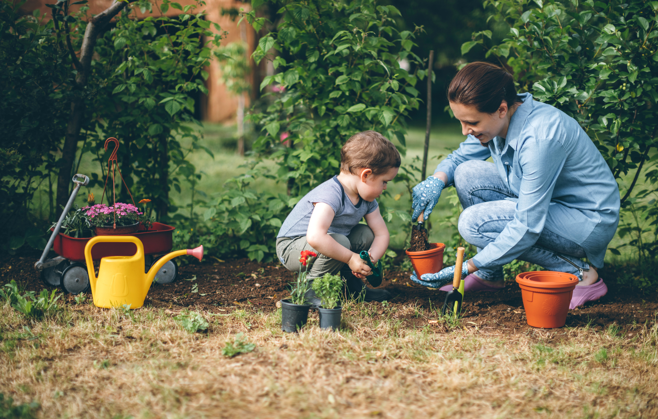  Outdoor Waste - Skip Bins to organise your project 