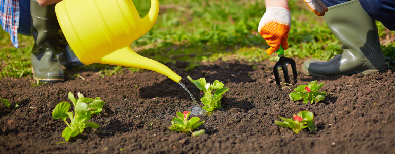 Gardening