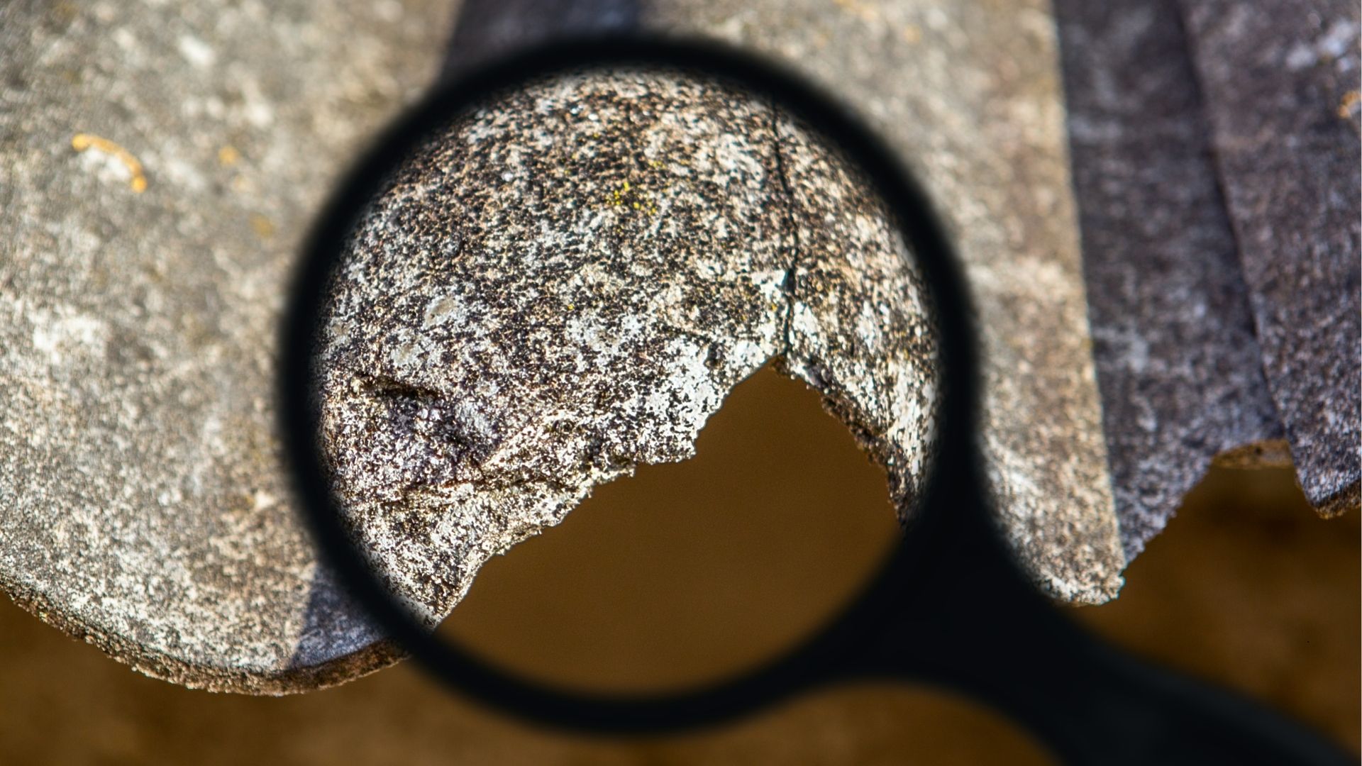 asbestos in roof